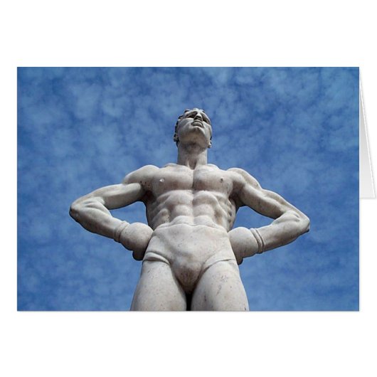 Boxer (Front Horizontal)