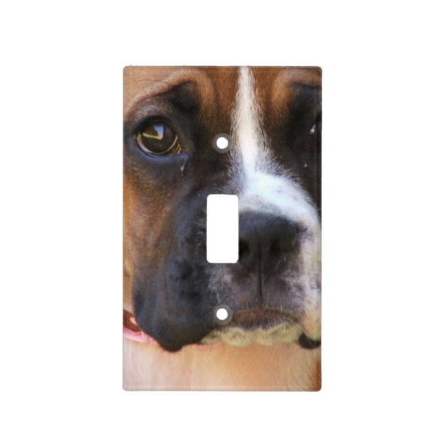 boxer-11 light switch cover (Front)