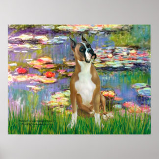 Boxer 1 (cropped) - Lilies 2 Poster