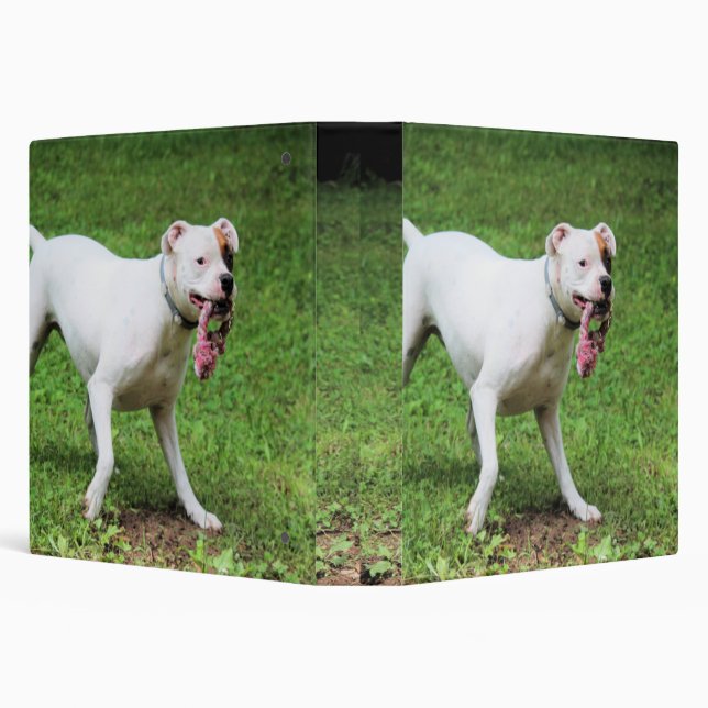 Boxer 3 Ring Binder (Background)