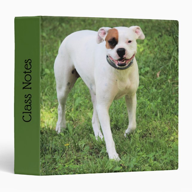 Boxer 3 Ring Binder (Front/Spine)