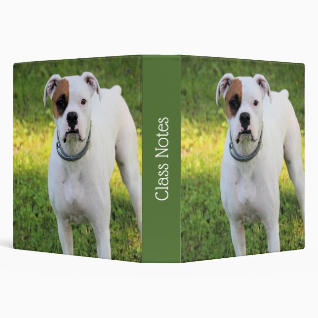 Boxer 3 Ring Binder (Background)