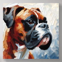 Boxer