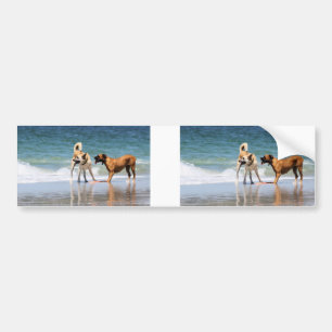 Boxer and Pal - Was that a Dolphin? Bumper Sticker