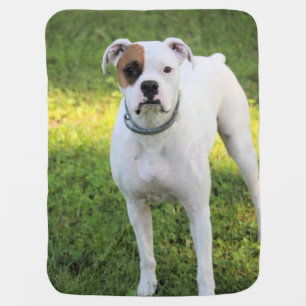 Boxer Baby Blanket