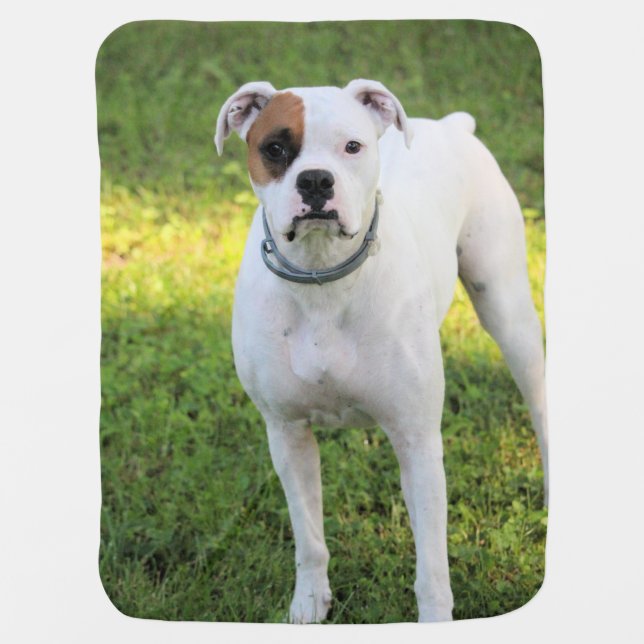 Boxer Baby Blanket (Front)