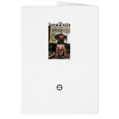Boxer baby cards (Back)