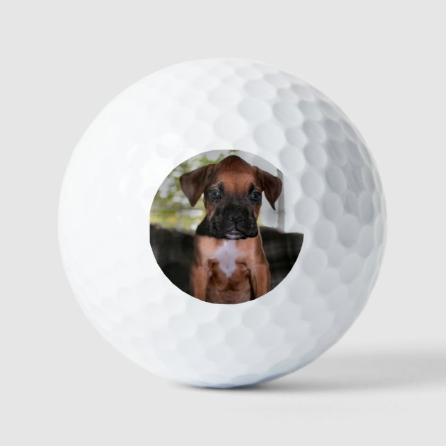 Boxer baby  golf balls (Front)