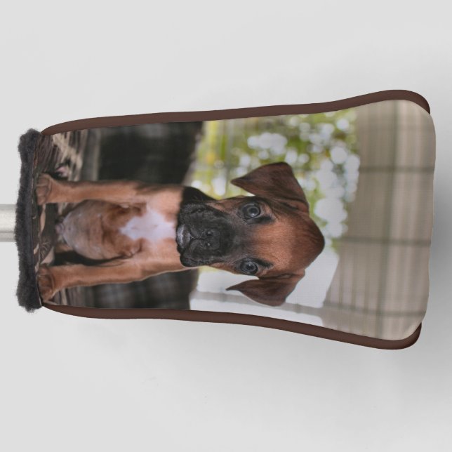 Boxer baby golf head cover (Front)