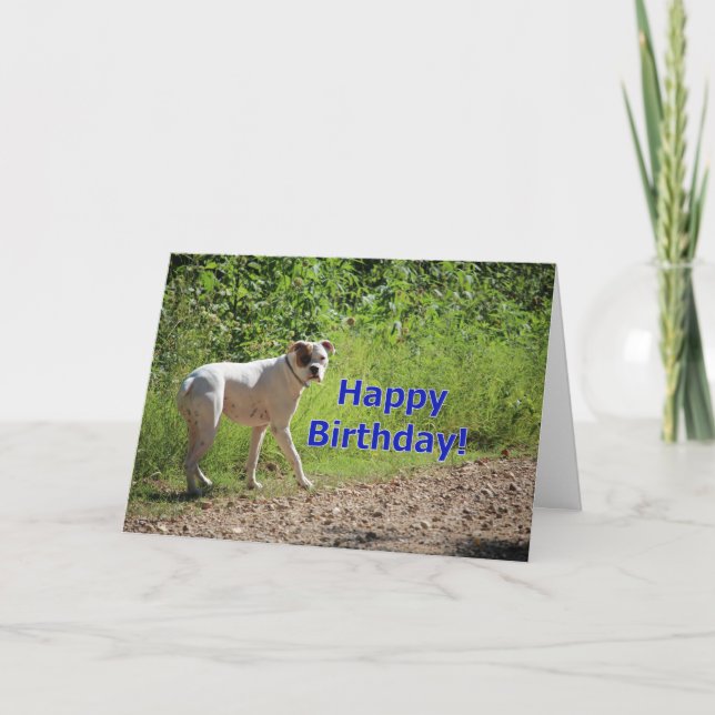 Boxer birthday card (Front)
