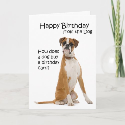 Boxer Birthday Card