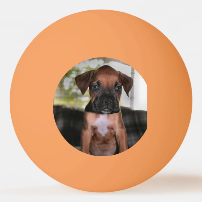 Boxer Bqby Ping Pong Ball (Front)