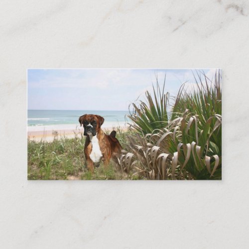 Boxer Breeder Business Card