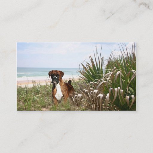 Customizable Boxer Breeder Business Card