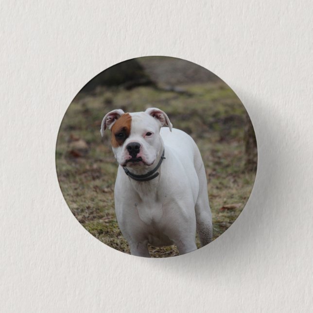 Boxer    button (Front)