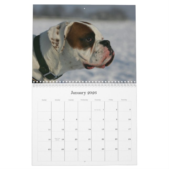 Boxer Calendar (Jan 2026)