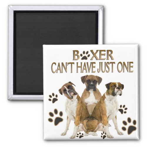Boxer Cant Have Just One Gifts Magnet