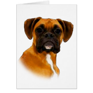 Boxer Cards