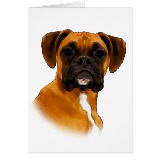 Boxer Cards (Front)