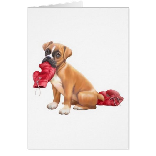Boxer Cards (Front)