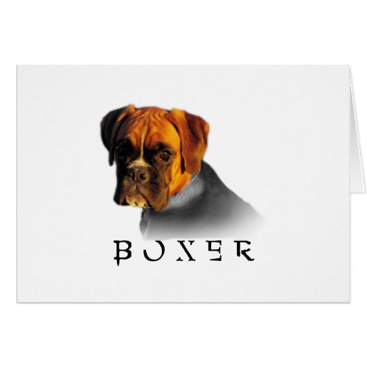 Boxer Cards (Front Horizontal)