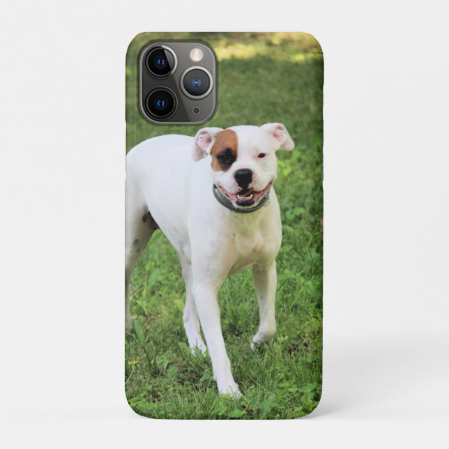 Boxer  Case-Mate iPhone case (Back)