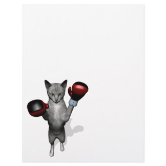 Boxer Cat