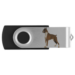 Boxer ceo flash drive
