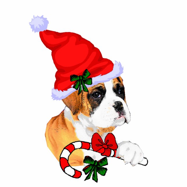 Boxer Christmas Gifts Ornament (Front)