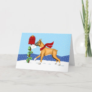 Boxer Christmas Mail Holiday Card