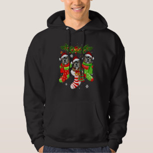 Boxer Christmas Socks Tree Light Xmas Santa Hat Hoodie