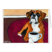 Boxer Coffee Fawn (Front Horizontal)