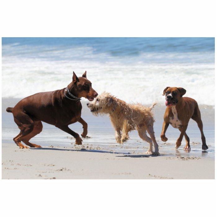 Boxer Doberman   Play Date at the Beach Cut Outs