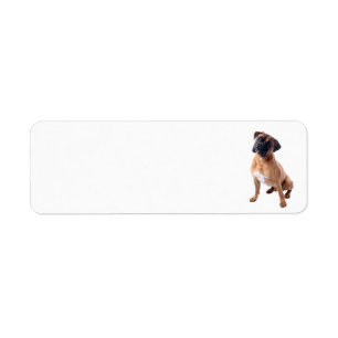 Boxer Dog 2 Label