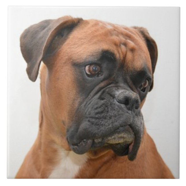 BOXER DOG 3, Pet Love, Best Friend KEEPSAKE Ceramic Tile (Front)