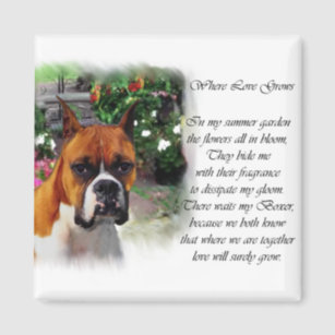 Boxer Dog Magnets | Zazzle