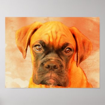 Boxer Dog Art Poster by ritmoboxer at Zazzle