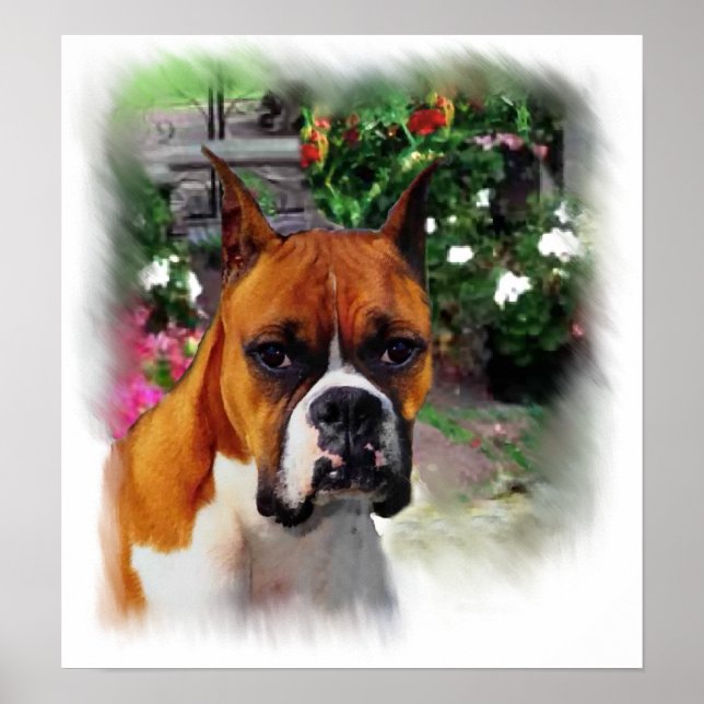 Boxer Dog Art Print (Front)