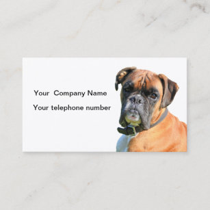 Boxer dog beautiful photo business card