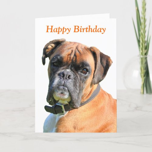 Boxer dog beautiful photo happy birthday card