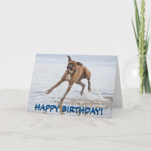 Boxer dog birthday card