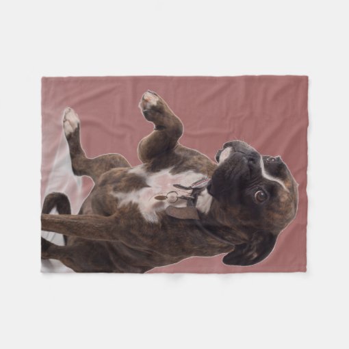 Boxer dog blanket Zazzle