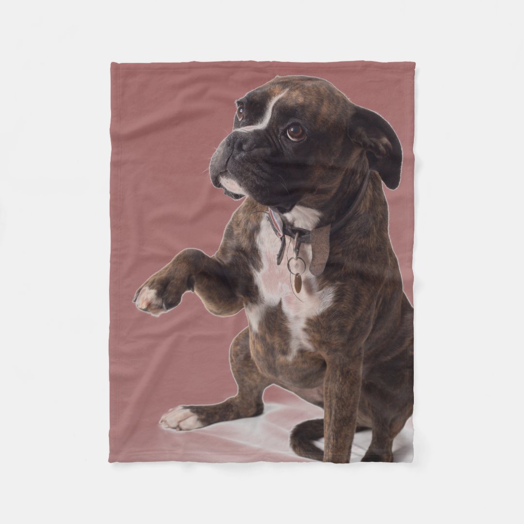 Boxer dog blanket Zazzle