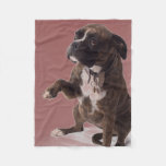 Boxer Dog Blanket at Zazzle