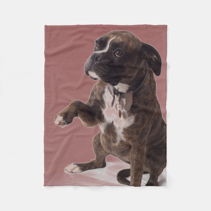 Boxer dog blanket