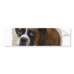 Boxer Dog Bumper Sticker