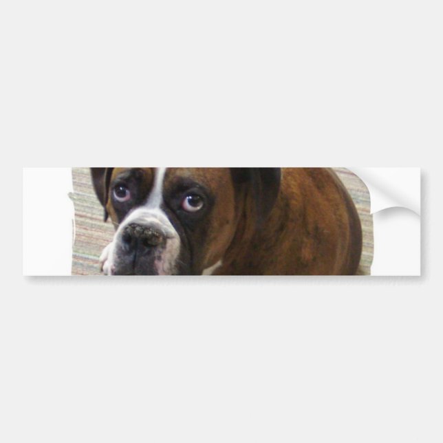 Boxer Dog Bumper Sticker (Front)