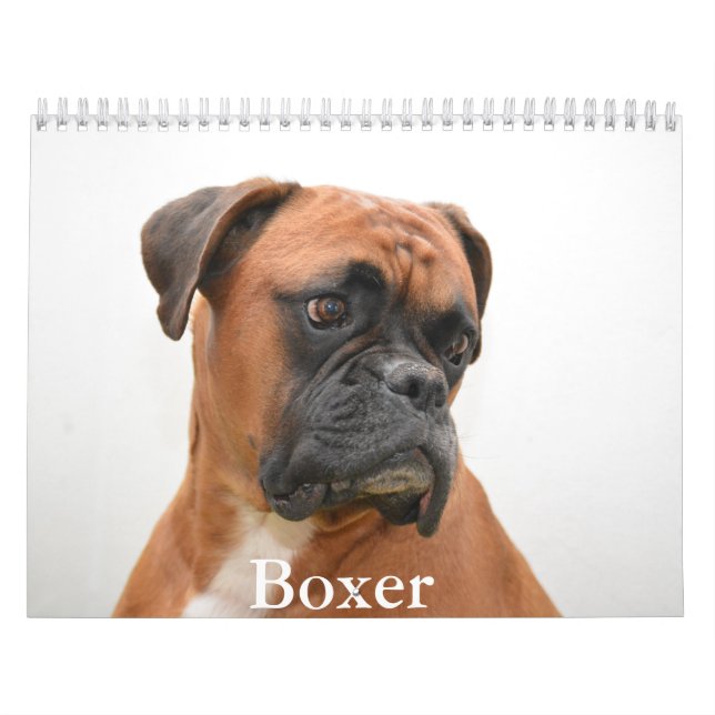 Boxer Dog Calendar (Cover)