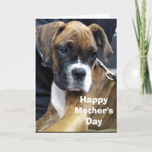 BOXER DOG  CARD
