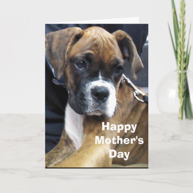 BOXER DOG  CARD (Front)